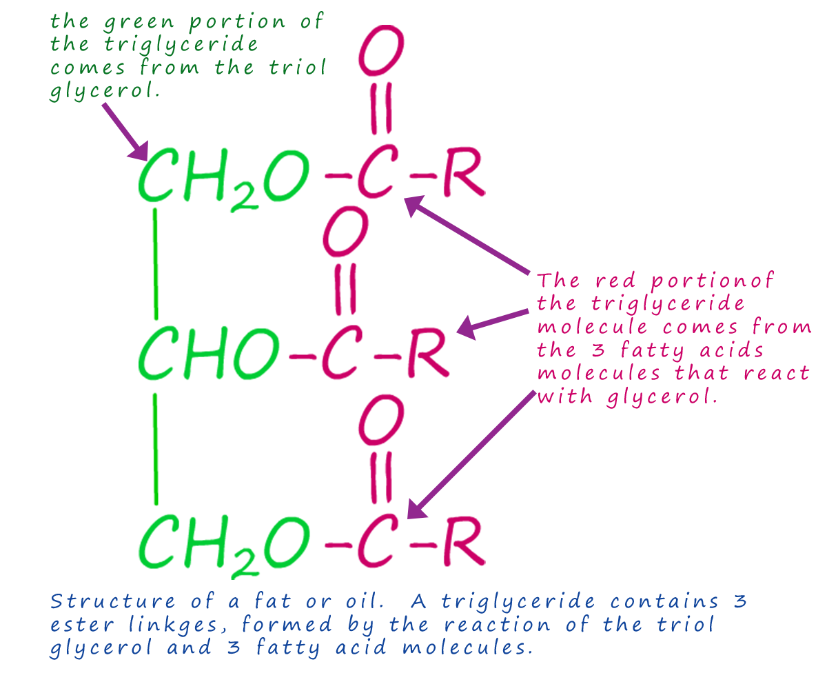 structure of a triglyceride molecule found in fats and oils.
